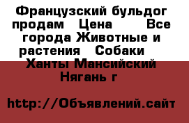 Французский бульдог продам › Цена ­ 1 - Все города Животные и растения » Собаки   . Ханты-Мансийский,Нягань г.